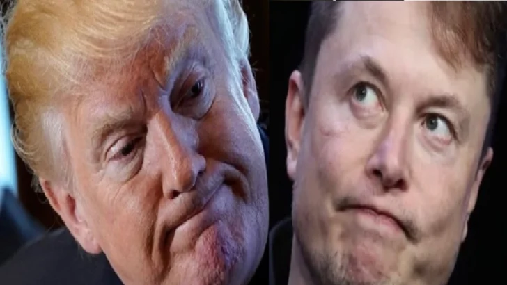 Trump confirma se revisarán los contratos del Gobierno con empresas de Musk