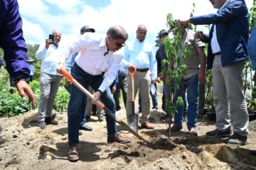 Agricultura inicia siembra de nuevos frutales