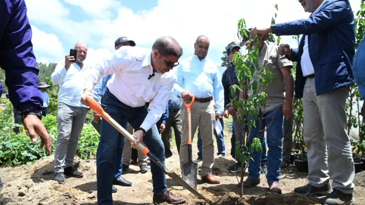 Agricultura inicia siembra de nuevos frutales Agricultura inicia siembra de nuevos frutales