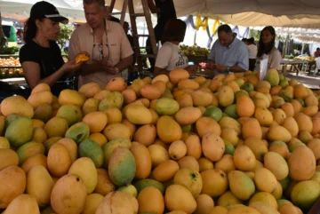Baní inicia celebración de la Expo Mango 2025
