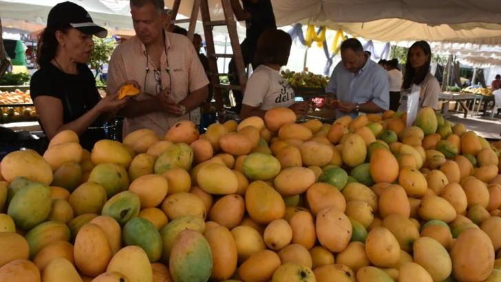 Baní inicia celebración de la Expo Mango 2025
