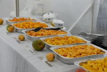 Concluye la Expo Mango 2025 en Baní
