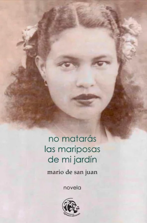 Imaginarios narrativos de San Juan: historia, memoria y símbolo en la novela dominicana de los siglos XX y XXI
