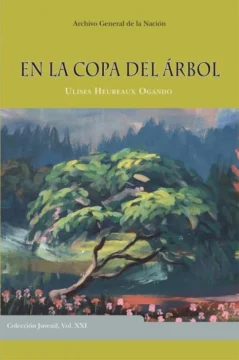 Imaginarios narrativos de San Juan: historia, memoria y símbolo en la novela dominicana de los siglos XX y XXI