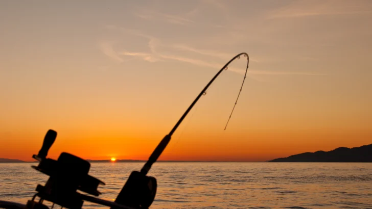Energías fósiles y la pesca ilegal, dos puntos pendientes de la Cumbre de los Océanos