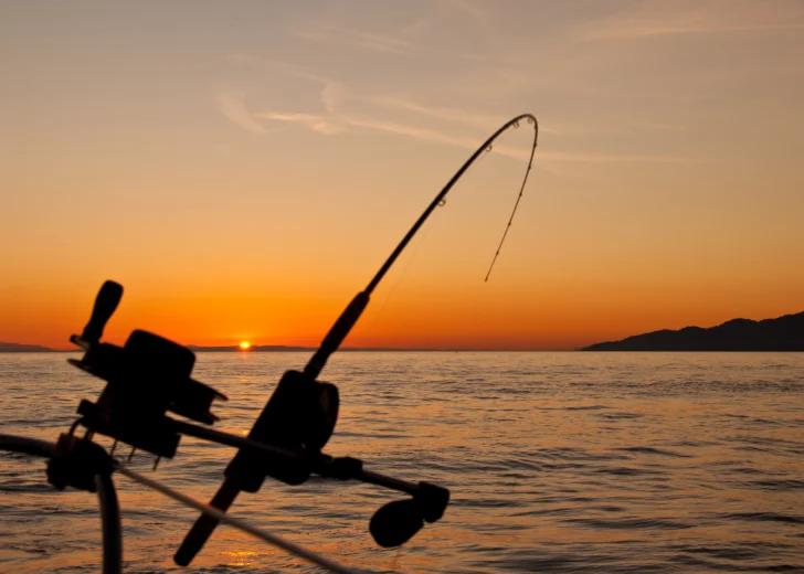 Energías fósiles y la pesca ilegal, dos puntos pendientes de la Cumbre de los Océanos