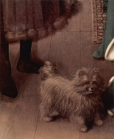 el-perro