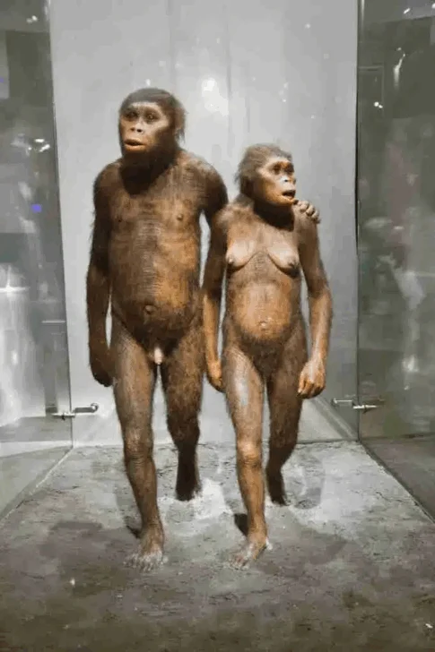 Museo de Historia.
