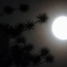 Lunes, luna