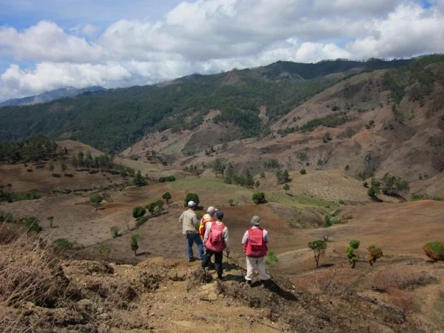 GoldQuest inicia estudios ambientales del Proyecto Romero