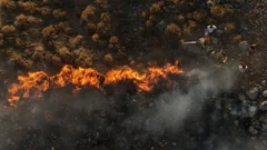 Se disparan los incendios en Turquía: 50.000 personas evacuadas en Izmir y Hatay