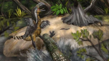 'Ave del terror': qué dicen los últimos hallazgos en Colombia sobre el enorme reptil que atemorizó a Sudamérica hace 13 millones de años