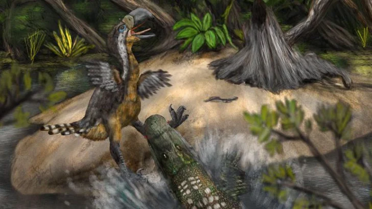 'Ave del terror': qué dicen los últimos hallazgos en Colombia sobre el enorme reptil que atemorizó a Sudamérica hace 13 millones de años