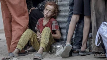 'Desde la Segunda Guerra Mundial no ha habido ningún caso de hambruna tan minuciosamente diseñada y controlada como la de Gaza'