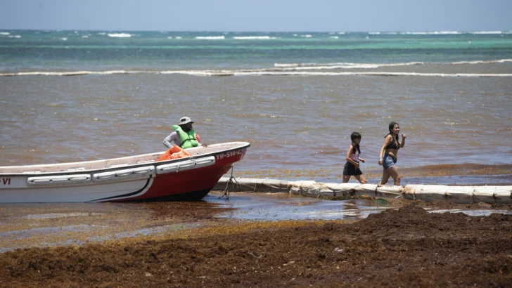 La lucha sin tregua de República Dominicana para limpiar de sargazo sus famosas playas