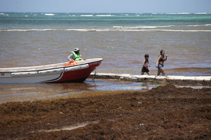 La lucha sin tregua de República Dominicana para limpiar de sargazo sus famosas playas