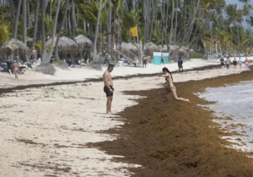 Hoteleros deben sumarse a protección de ecosistemas costeros y marinos Hoteleros deben sumarse a protección de ecosistemas costeros y marinos
