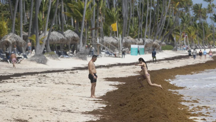 Hoteleros deben sumarse a protección de ecosistemas costeros y marinos Hoteleros deben sumarse a protección de ecosistemas costeros y marinos