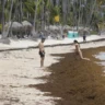 Hoteleros deben sumarse a protección de ecosistemas costeros y marinos