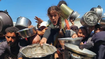 'Es como darle analgésicos a un paciente con cáncer sin tratarlo': Israel anuncia 'pausa táctica' y permite el ingreso de algunos camiones de ayuda a Gaza