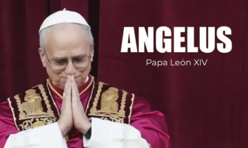 El papa insta inmediato fin de El papa insta inmediato fin de