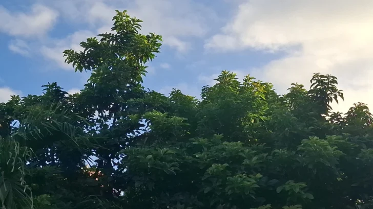 Este es el pronóstico de Meteorología para este jueves 17 de julio