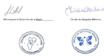 Carta al presidente Luis Abinader