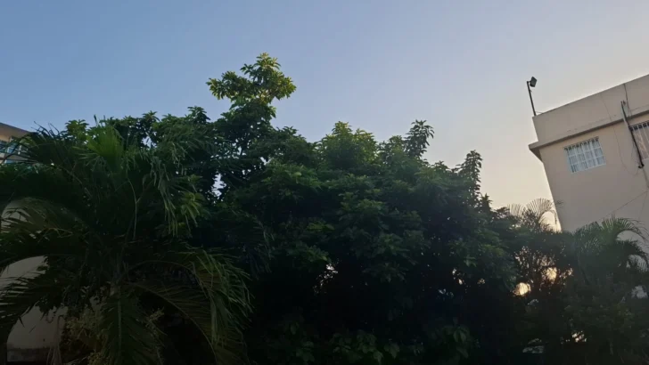 Este es el pronóstico de Meteorología para este sábado 5 de julio Este es el pronóstico de Meteorología para este sábado 5 de julio