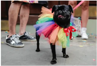 Normalizar la homosexualidad (I) Normalizar la homosexualidad (I)