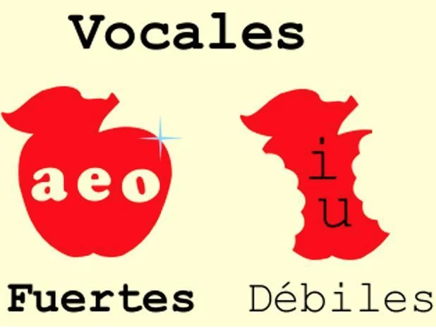 ¿Es cierto que las vocales /i, u/ son débiles y /a, e, o/ son fuertes?