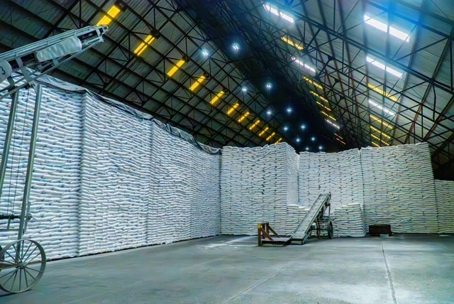 Central Romana concluye zafra con una producción de 306,904 toneladas de azúcar Central Romana concluye zafra con una producción de 306,904 toneladas de azúcar