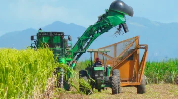 Central Romana concluye zafra con una producción de 306,904 toneladas de azúcar Central Romana concluye zafra con una producción de 306,904 toneladas de azúcar