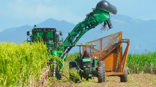 Central Romana concluye zafra con una producción de 306,904 toneladas de azúcar 