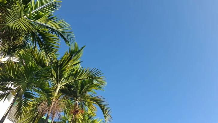 Una vaguada generará aguaceros este domingo en algunas provincias