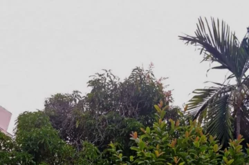Este es el pronóstico de Meteorología para este sábado 12 de julio Este es el pronóstico de Meteorología para este sábado 12 de julio