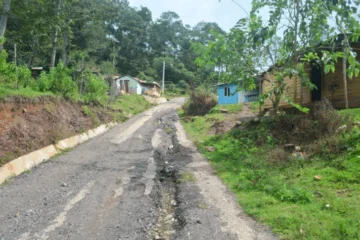 Obispo de San Juan apoya las demandas de la cadena humana de Padre Las Casas