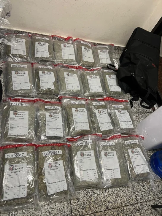 Decomisan 140 paquetes de marihuana en Santo Domingo y Barahona