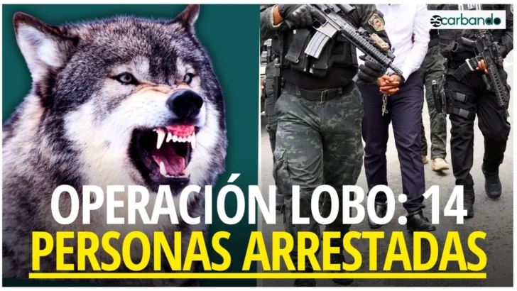 Escarbando: Operación Lobo 14 personas arrestadas por soborno