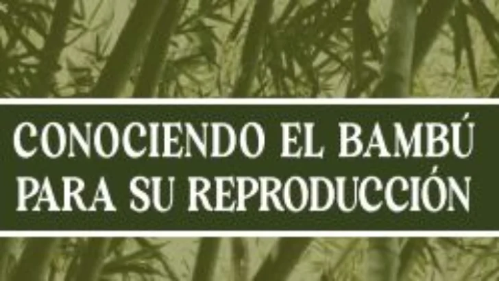 INBAR publica primer libro dominicano sobre reproducción del bambú INBAR publica primer libro dominicano sobre reproducción del bambú