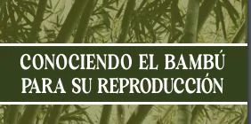 INBAR publica primer libro dominicano sobre reproducción del bambú