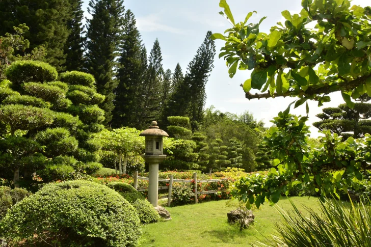 Gobierno ofrecerá el miércoles detalles sobre intervención en el Jardín Botánico