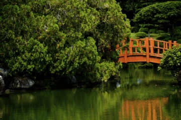 Jardín Botánico no enfrenta intervención formal… por ahora
