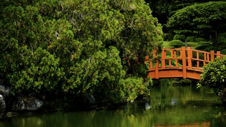 Jardín Botánico no enfrenta intervención formal… por ahora Jardín Botánico no enfrenta intervención formal… por ahora