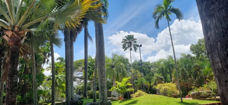 Luis Carvajal califica como ilegal y destructiva la propuesta de intervención en el Jardín Botánico