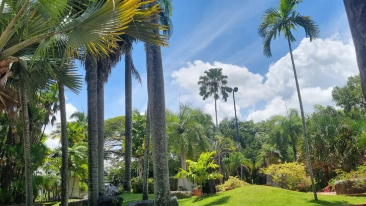 Luis Carvajal califica como ilegal y destructiva la propuesta de intervención en el Jardín Botánico