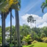 Luis Carvajal califica como ilegal y destructiva la propuesta de intervención en el Jardín Botánico