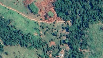 Más de 500 kilómetros de vías ilegales se abrieron en un solo municipio de la Amazonía de Colombia