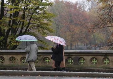 Nueva York aboga por más árboles y mejor alcantarillado para combatir inundaciones