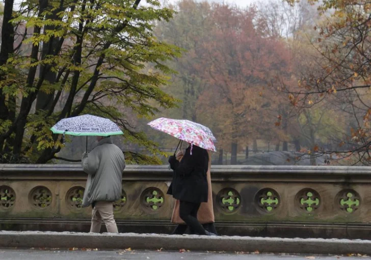Nueva York aboga por más árboles y mejor alcantarillado para combatir inundaciones