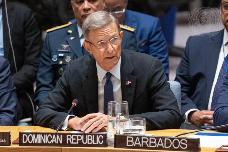 Canciller urgió al Consejo de Seguridad de la ONU actuar sin demora ante la crisis en Haití